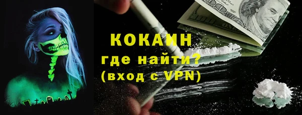 стаф Богданович