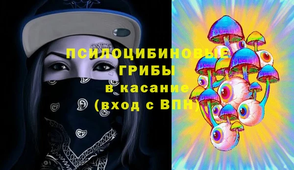 PSILOCYBIN Болотное