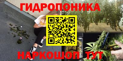 a pvp Азнакаево