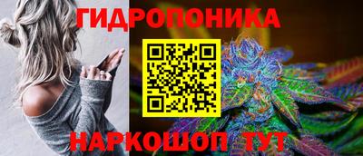 a pvp Азнакаево