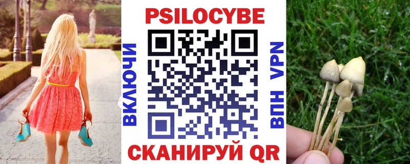 Галлюциногенные грибы GOLDEN TEACHER  цены наркотик  Павловский Посад 