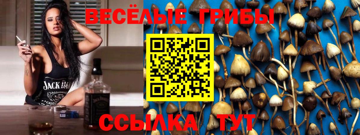 Вейп ТГК  КОКАИН  Павловский Посад  Гашиш  Cocaine  Вход с VPN  МАРИХУАНА  Марихуана  Мяу-Мяу 