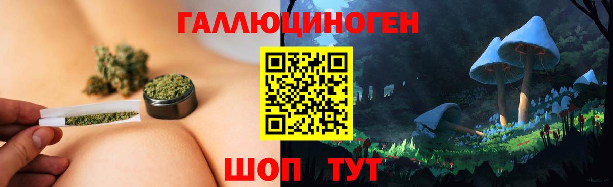 Галлюциногенные грибы Psilocybe  Вход с VPN  Павловский Посад 